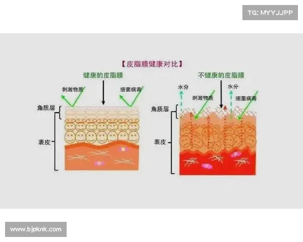 揭开女生的那层膜:了解生理结构与健康常识(女生那层膜是什么意思) 揭开女生的那层膜:了解生理结构与健康常识(女生那层膜是什么意思)